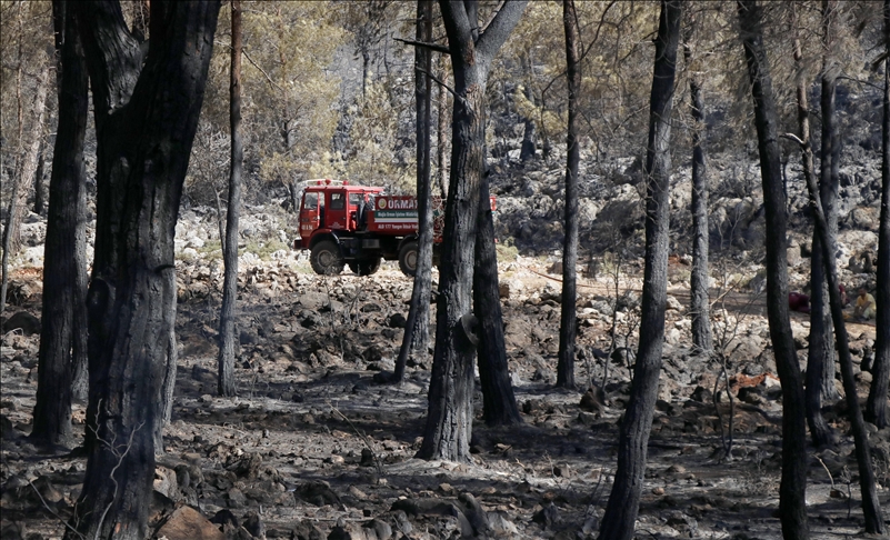 Под контрола ставени 88 од вкупно 98 шумски пожари во Турција