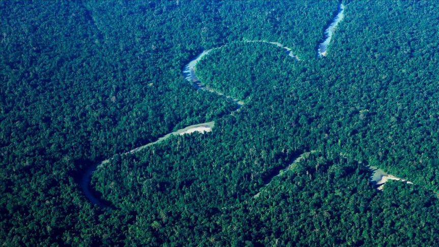 Unesco incluye el Parque Nacional Ivindo, Gabón, en su Lista del Patrimonio Mundial