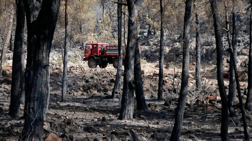 Muğla'nın Fethiye ilçesindeki orman yangını kontrol altına alındı