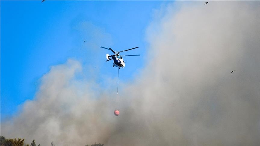 مهار بیش از 88 مورد آتش‌سوزی جنگل‌ها در ترکیه