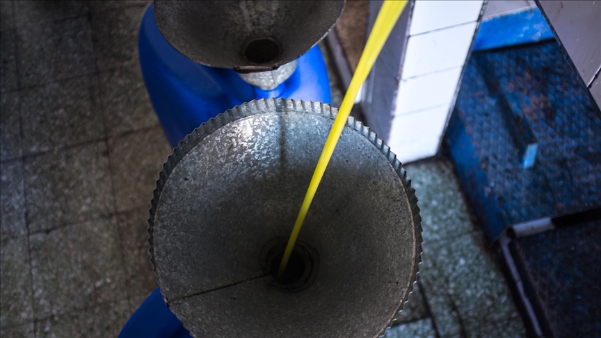 La Tunisie rafle neuf médailles à un concours d'huile d'olive aux Emirats 