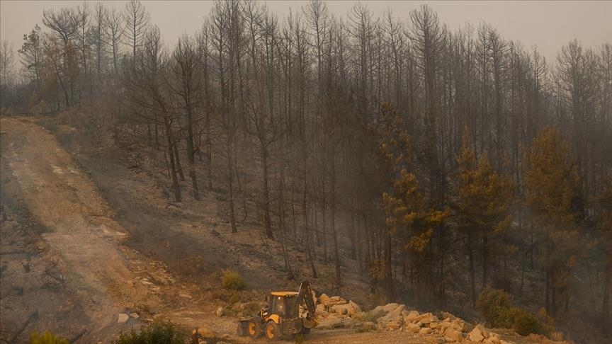 Massive forest fires in southern Turkey kill 7