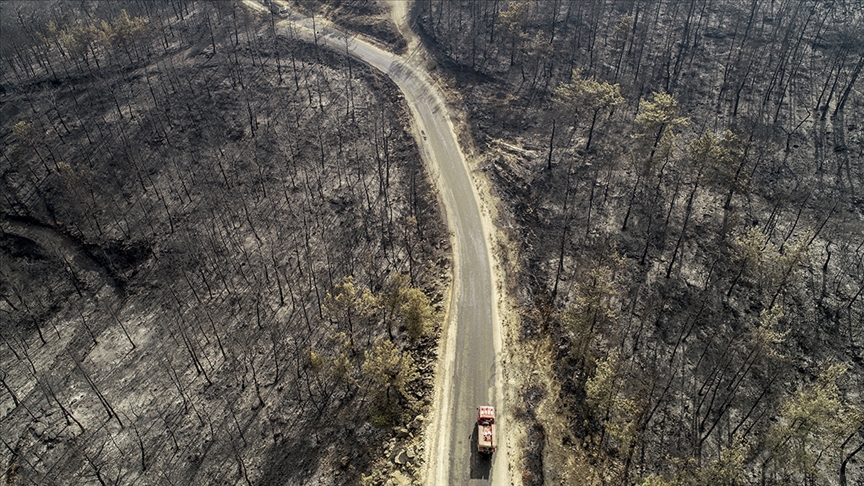 Cumhurbaşkanı Erdoğan: Orman yangınlarından etkilenen alanlar 'Genel Hayata Etkili Afet Bölgesi' ilan edildi
