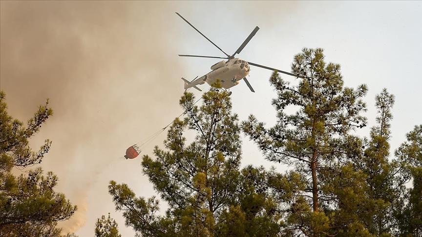 В Турции локализованы 107 из 112 очагов лесных пожаров