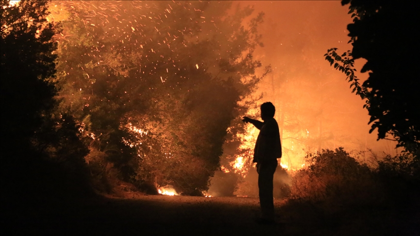 Hungary conveys condolences to victims of massive fires in Turkey