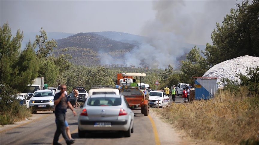 Bodrum'daki orman yangınını söndürmek için herkes seferber oldu
