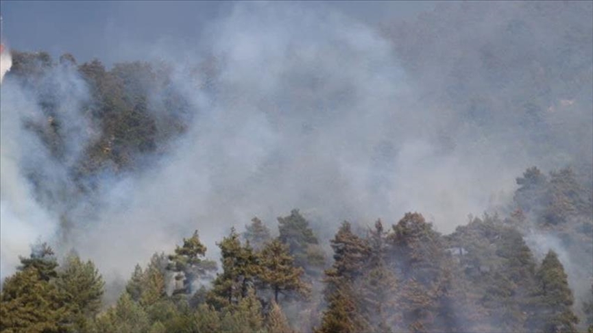 Direktur Komunikasi Turki: 122 kebakaran besar terkendali