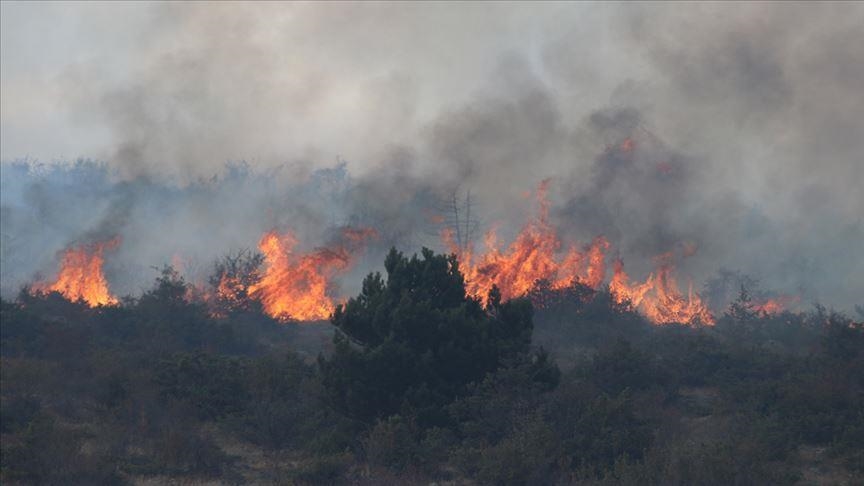 Një zjarr i fort kaplon qytetin e Koçanit, kreu i komunës kërkon ndihmë