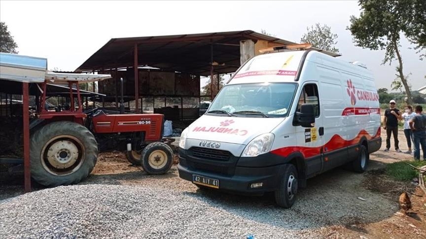 Veterinary ambulance treats animals injured in Turkey forest fires