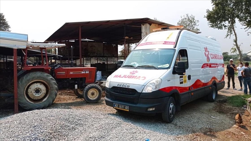 'Canbulan' Manavgat'taki yangında yaralanan hayvanların hayata tutunmasını sağlıyor