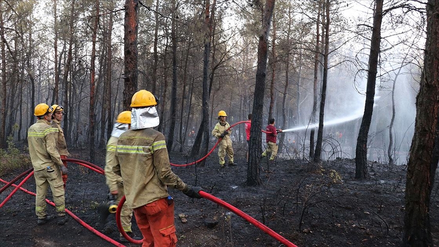 İzmir'de çıkan orman yangını kontrol altına alındı