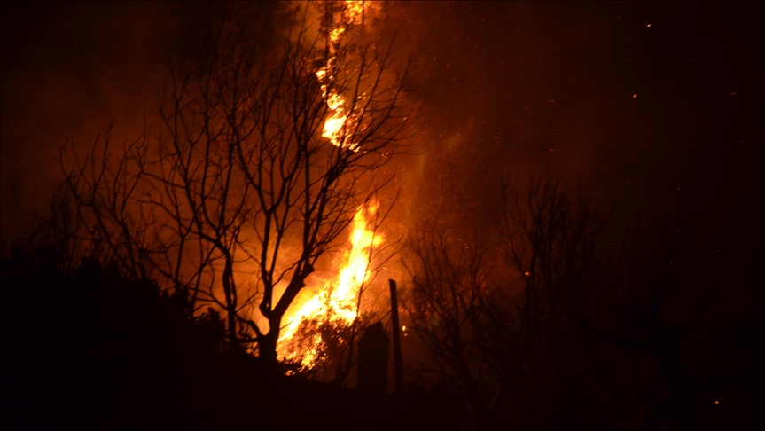 Лесные пожары на юго-западе Турции локализованы