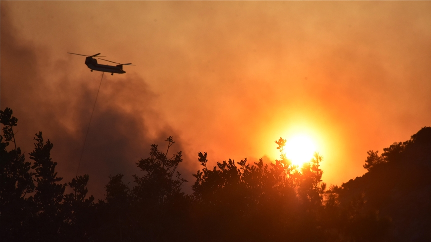 Turki masih berjuang lawan kebakaran hutan