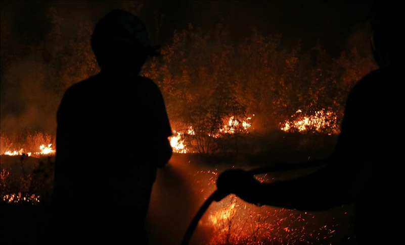 Shqipëri, një i vdekur nga zjarret në jug të vendit