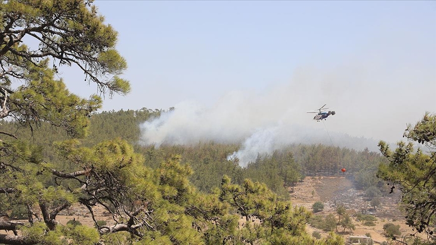 Milas, Bodrum ve Kavaklıdere'deki orman yangınlarına havadan ve karadan müdahale sürüyor