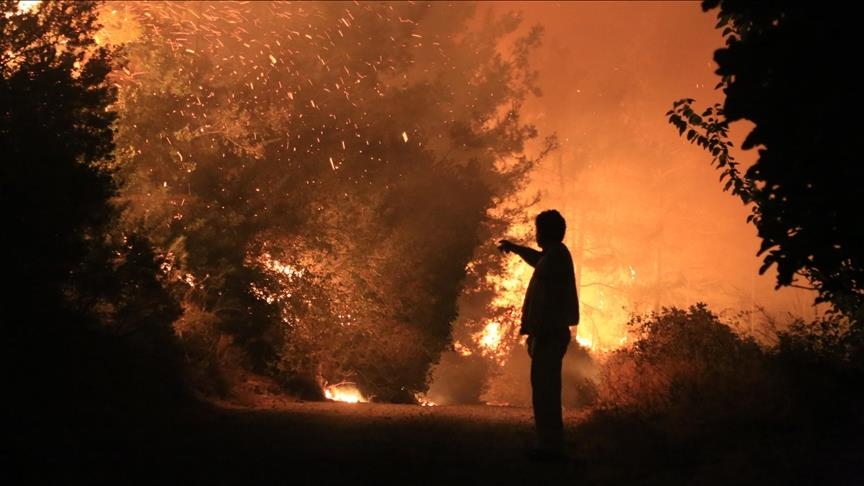 Komunitas internasional beri pesan solidaritas pada Turki lawan kebakaran hutan
