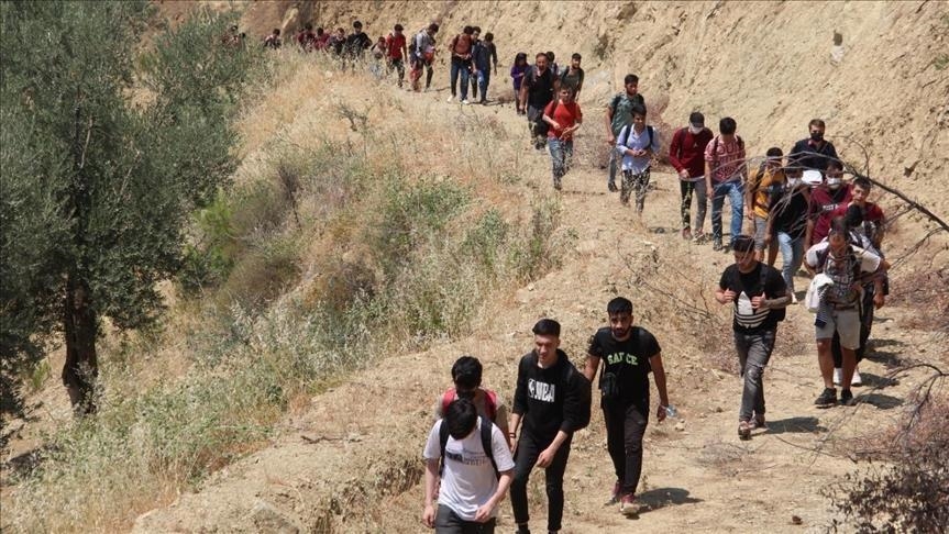 Turquie: 300 migrants clandestins arrêtés dans le sud-est