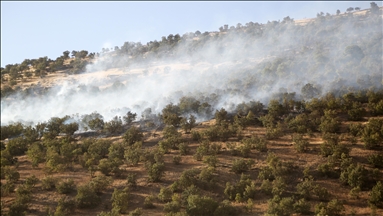 3 killed in forest fire in Iran