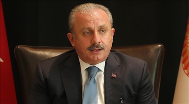 TBMM Başkanı Şentop: Yanan her ağaç, kaybettiğimiz her can yüreğimizi çok acıttı