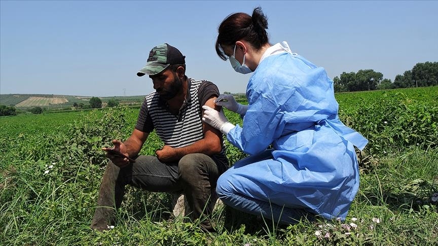 تزریق واکسن کرونا به کارگران کشاورزی در استان بورسای ترکیه