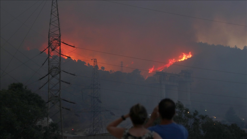 Turska: Šumski požar sve bliže termoelektrani u Mugli