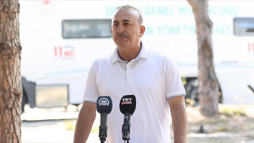 'Owners of homes damaged in Turkey wildfires to get new houses within 1 year'