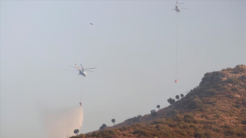 Turquie: 174 feux de forêts déclarés ces 8 derniers jours, 160 sont maitrisés