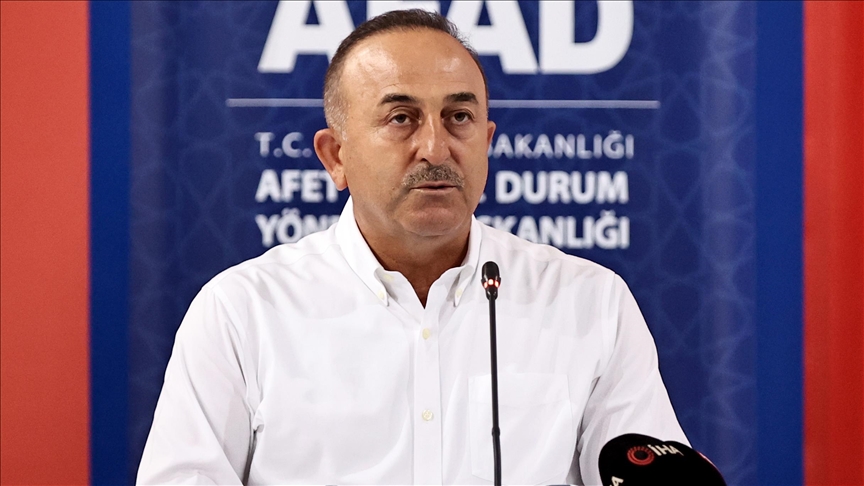 Cavusoglu: Poduzimamo korake za nadoknadu štete uzrokovane požarima