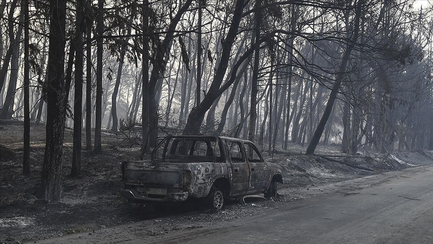 Yerküre yoğunluğu artan orman yangınlarının etkisi altında