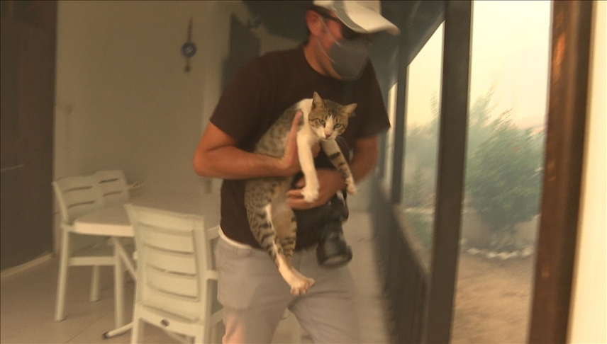 Turska: Novinari spasili mačku od požara