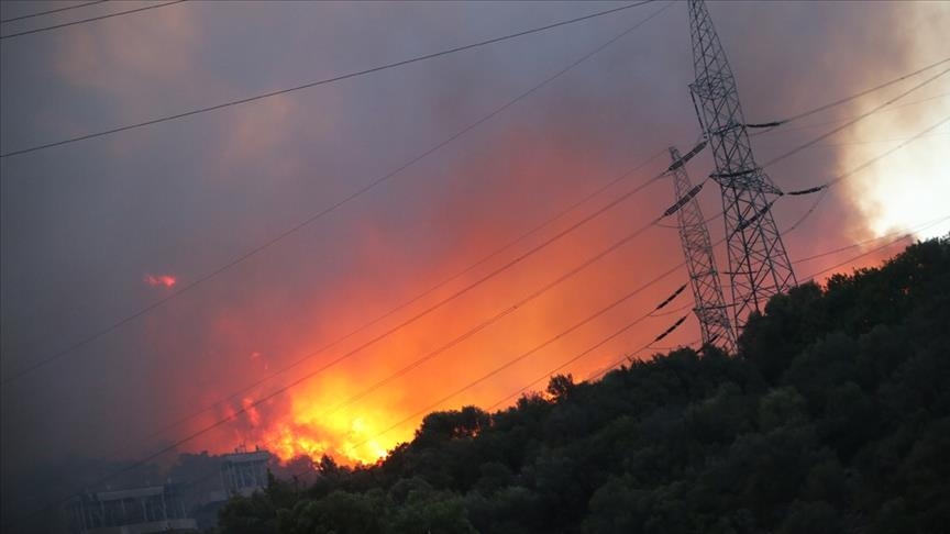 Лесные пожары в Турции: огонь подошел к ТЭЦ города Кемеркёй