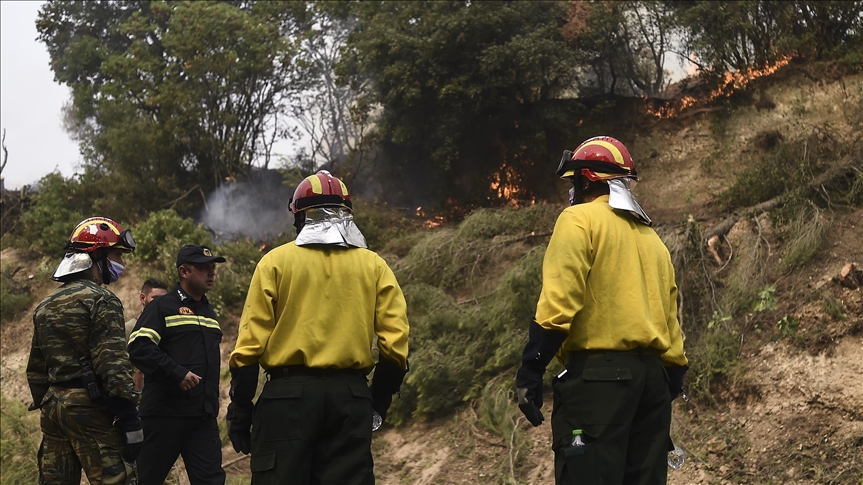 Grčka: Vojska će pomagati u gašenju šumskih požara