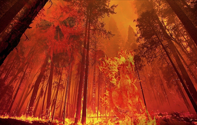 Wildfires, not pandemic lockdowns, had largest impact on global climate in 2020