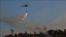 191 wildfires in Turkey under control: Forestry minister