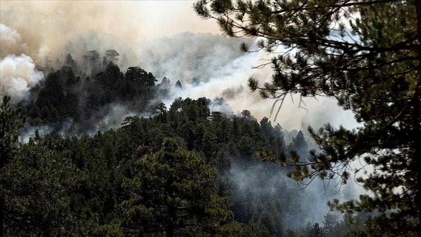 Yangından etkilenen Adana ve Antalya'da hafta sonu gök gürültülü sağanak bekleniyor