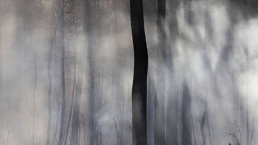 Yıllık ortalamanın yaklaşık 9 katı alan kül oldu