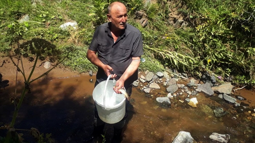 Kars'ta nesli tükenme tehlikesi altında olan kırmızı benekli alabalığın popülasyonu artırılacak