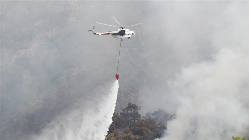 209 wildfires in Turkey under control: Forestry minister