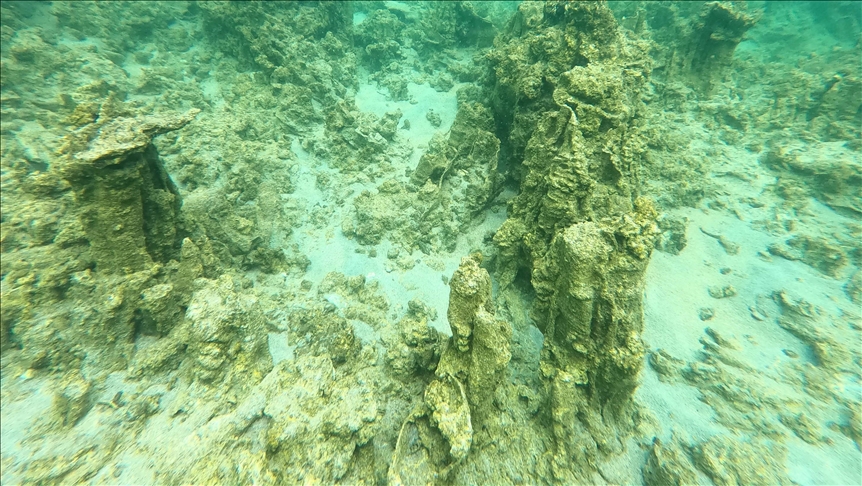 New microbialites discovered in eastern Turkey