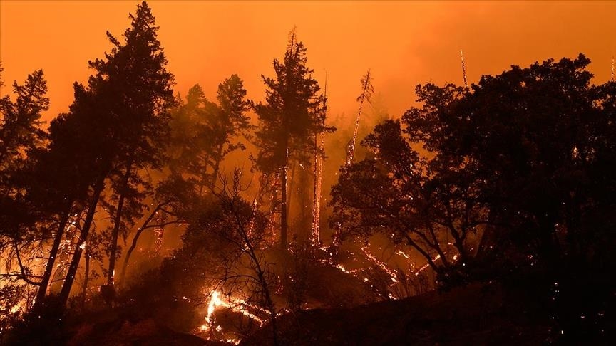Globe continues to battle forest fires