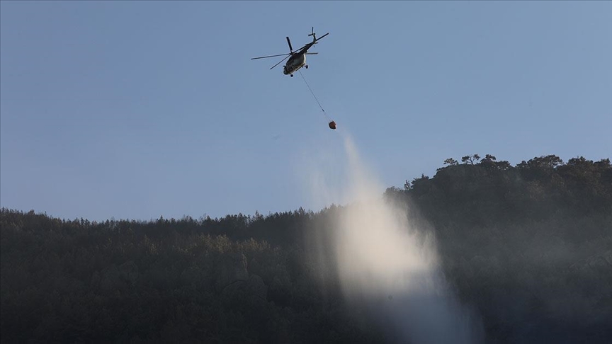 Tarım ve Orman Bakanı Pakdemirli: Muğla'da ve Aydın'daki 3 orman yangını için çalışmalar devam ediyor