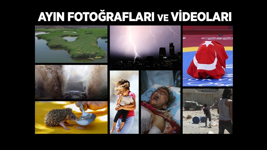 Ayın fotoğrafları ve videoları belli oldu
