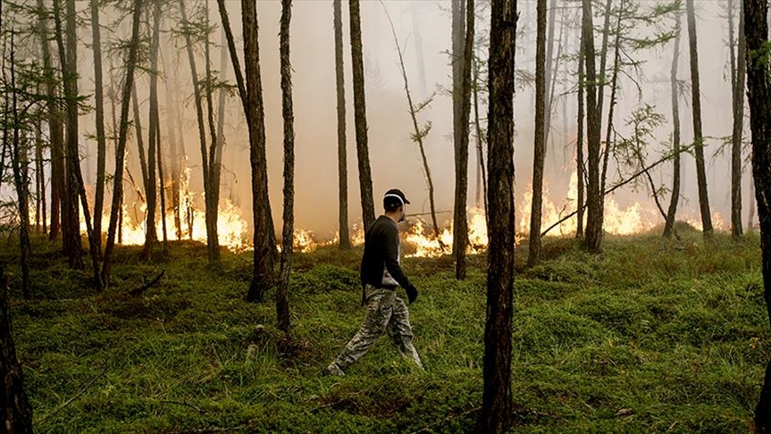 El humo de los incendios forestales llega al Polo Norte