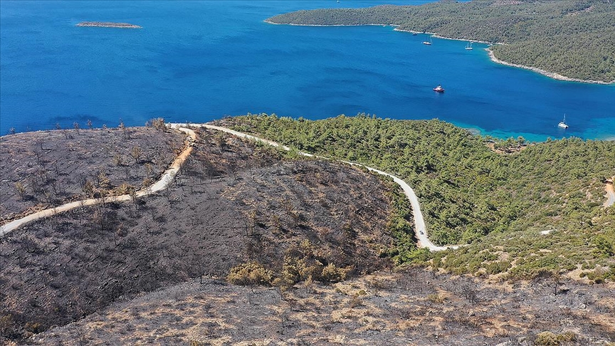 Tarım ve Orman Bakanı Bekir Pakdemirli: Muğla Milas yangını kontrol altına alındı