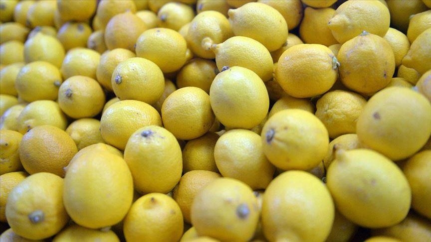 Экспорт турецкого лимона в январе-июле вырос на 59%