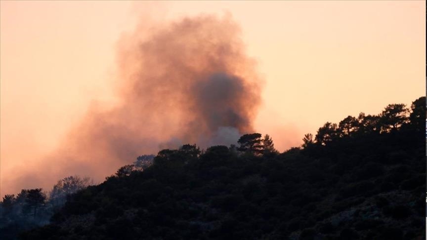 Tunisie: Des feux de forêt ravagent 1 100 hectares et provoquent l’explosion de 22 mines