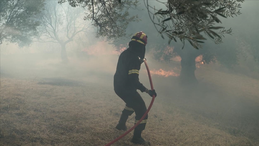 Los vientos obstaculizan los esfuerzos para mitigar los incendios forestales en Grecia