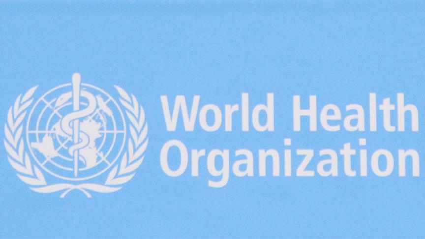 WHO sets up new investigation team into origins of COVID-19