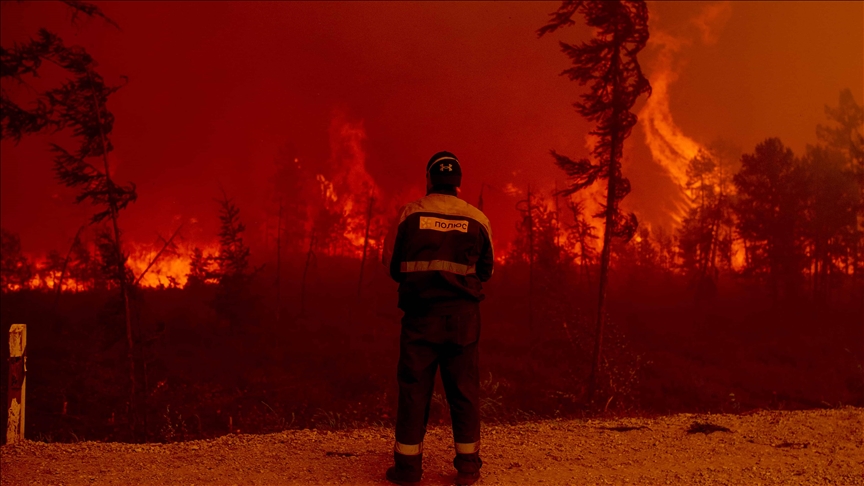 El planeta en llamas: ¿por qué hay tantos incendios forestales? 