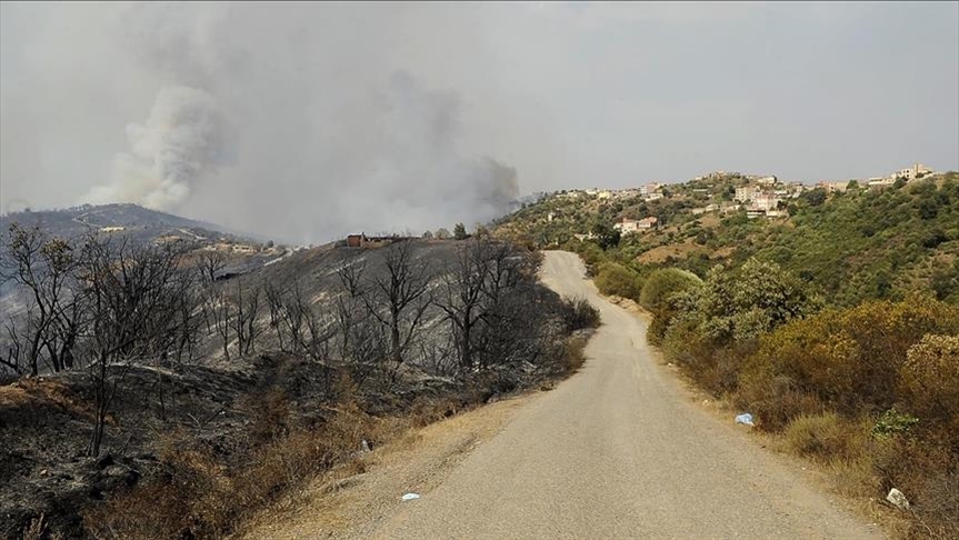 L'Algérie annonce l’extinction de tous les incendies à Tizi Ouzou